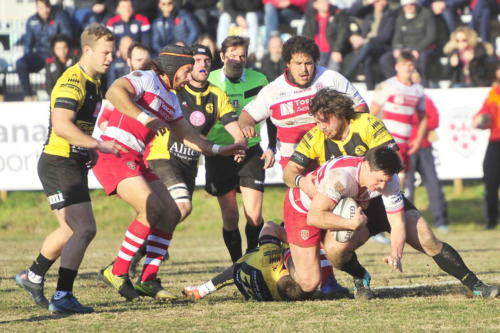 I MEDICEI VS RUGBY VIADANA 1970 11